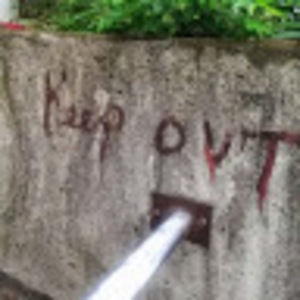 Meet your Posher, Kylie